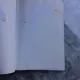 TOTUL DESPRE IEPURI SI ALTE ROZATOARE - EUGEN MEGELEA