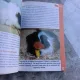 TOTUL DESPRE IEPURI SI ALTE ROZATOARE - EUGEN MEGELEA