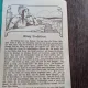 IMPARATUL CIOC DE STURZ  - FRATII GRIMM (CARTE PENTRU COPII, IN LIMBA GERMANA)