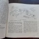 ATELIERUL MICULUI TAMPLAR - CLAUDIU LAZARESCU