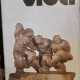 VIDA - RAOUL SORBAN  ALBUM