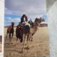 SHARM EL-SHEIKH, SINAI ET LA MER ROUGE  (TEXT IN LIMBA FRANCEZA)