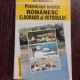 POTENTIALUL TURISTIC ROMANESC  ELDORADO AL VIITORULUI - ION STANESCU