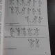 TAIJIQUAN, CALEA PERFECTIUNII - SERBAN DERLOGEA (cu dedicatia autorului)
