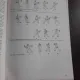 TAIJIQUAN, CALEA PERFECTIUNII - SERBAN DERLOGEA (cu dedicatia autorului)