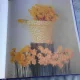 DOWN IN THE GARDEN - ANNE GEDDES, ALBUM