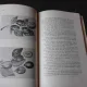 POMICULTURA - GHEORGHE MIRON