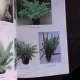 PLANTE DE APARTAMENT - ELENA SELARU  EDITIA II-A