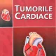 TUMORILE CARDIACE, M.E. PATRUT, GHE. MANOLE, G.V. DINCA