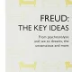 FREUD, THE KEY IDEAS, FROM PSYCHOANALYSIS AND SEX TO DREAMS, THE UNCONSCOUS AND MORE    (CARTE IN LIMBA ENGLEZA)