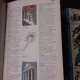ILLUSTRATED COLOUR DICTIONARY DOUA VOLUME IN LIMBA ENGLEZA