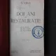 DOI ANI DE RESTAURATIE. CE A FOST, CE AM VRUT, CE AM PUTUT - N. IORGA  EDITIA III-A