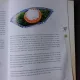 FOOD IN CHINESE CULTURE - GONG WENXIANG  (CARTE IN LIMBA ENGLEZA)