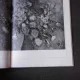 MATILDA ULMU, ALBUM