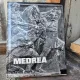 CORNEL MEDREA, ALBUM - MARIN MIHALACHE