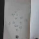 CORNELIU COPOSU, DIALOGURI CU VARTAN ARACHELIAN