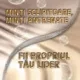 MINTI SCLIPITOARE, MINTI ANTRENATE - FII PROPRIUL TAU LIDER - AUGUSTO CURY