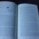 DR. SUSAN LOVE S BREAST BOOK - SUSAN M. LOVE  (TEXT IN LIMBA ENGLEZA)