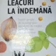 LEACURI LA INDEMANA 2005