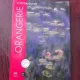 Orangerie Museum, visitor guide
