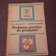 Probleme practice de geometrie - Liviu Nicolescu