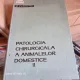 Patologia chirurgicala a animalelor domestice - O. Vladutiu  vol.II