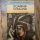 Doamna Chiajna - A.I. Odobescu