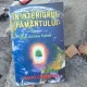 Radu Cinamar - In interiorul pamantului. Al doilea tunel