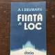 A. I. Brumaru - Fiinta si loc