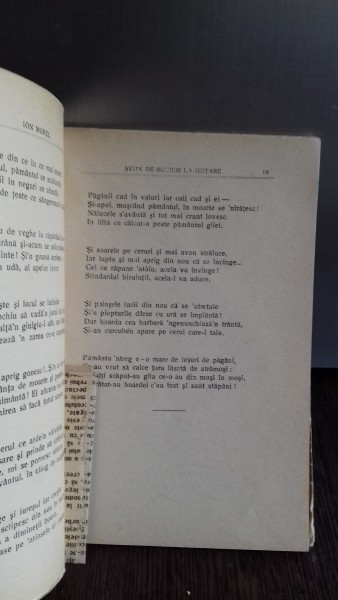 DIN LIVADA MEA - POEME DE ION MOREL