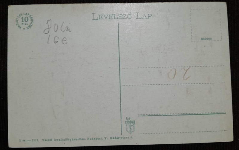Carte postala, Sighetul Marmatiei, piata, inceput de secol XX
