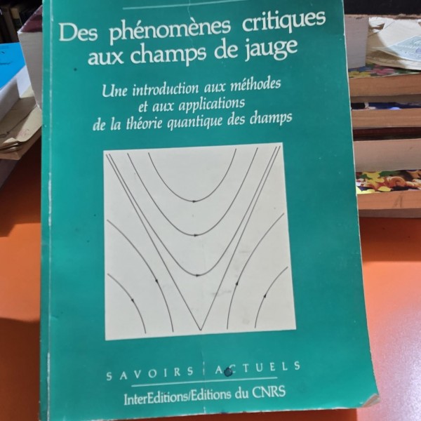 Des phenomenes critiques aux champs de jauge, Une introductiom aux methodes Eet aux applications de la theorie quantique des champs