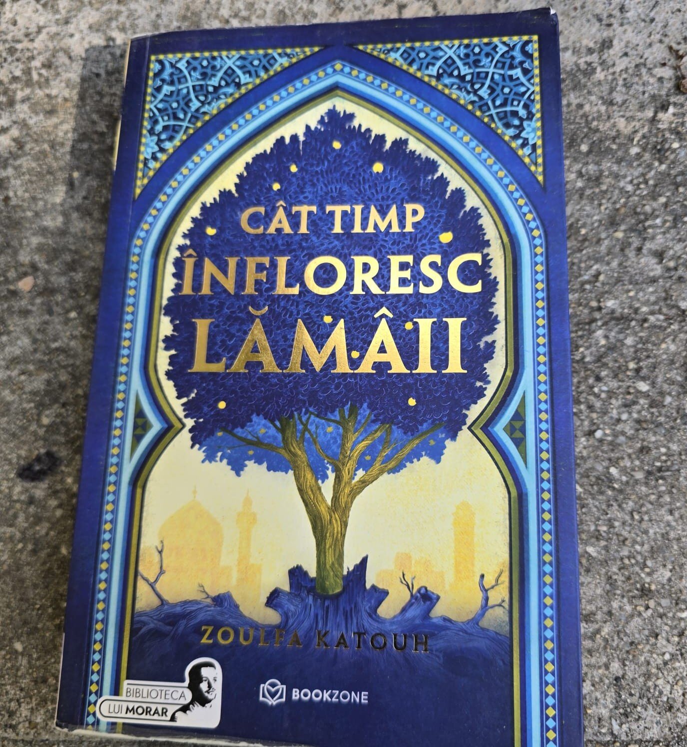 Cat timp infloresc lamaii - Zoulfa Katouh