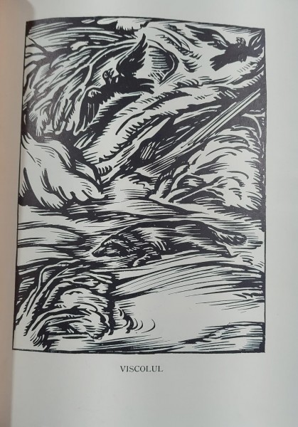 Poezii - Alecsandri ilustratii de Demian