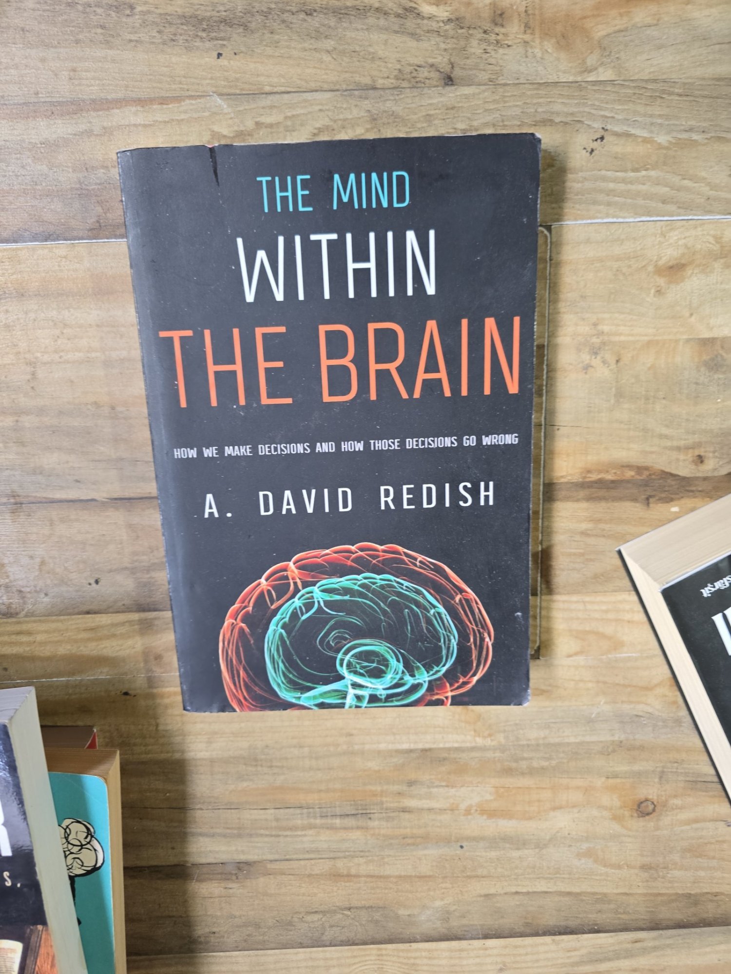 Mind Within the Brain - A. David Redish