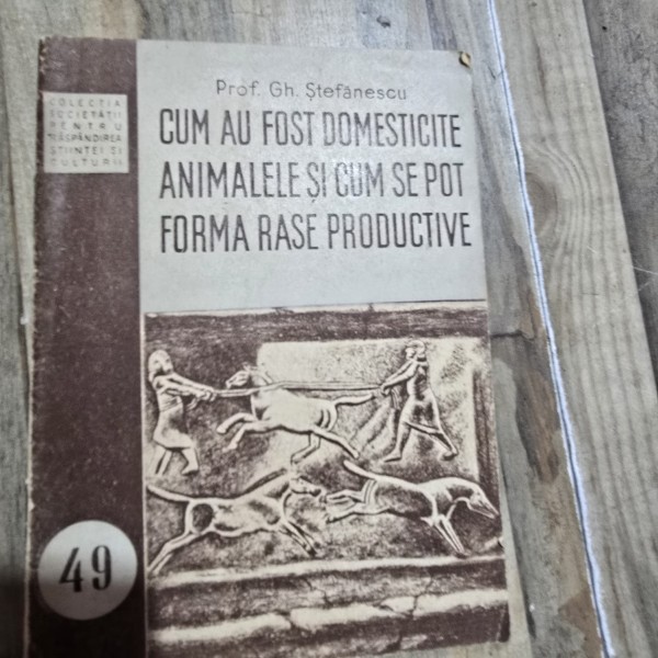 Cum au fost domesticite animalele si cum se pot forma rase potrivite - Gh. Stefanescu