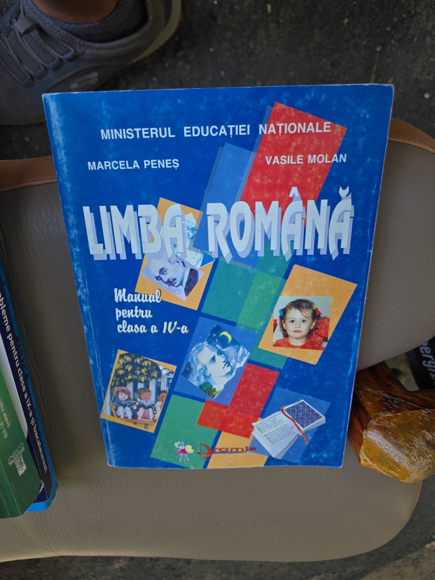 Limba română, manual pentru clasa a IV-a - Marcela Peneș, Vasile Molan