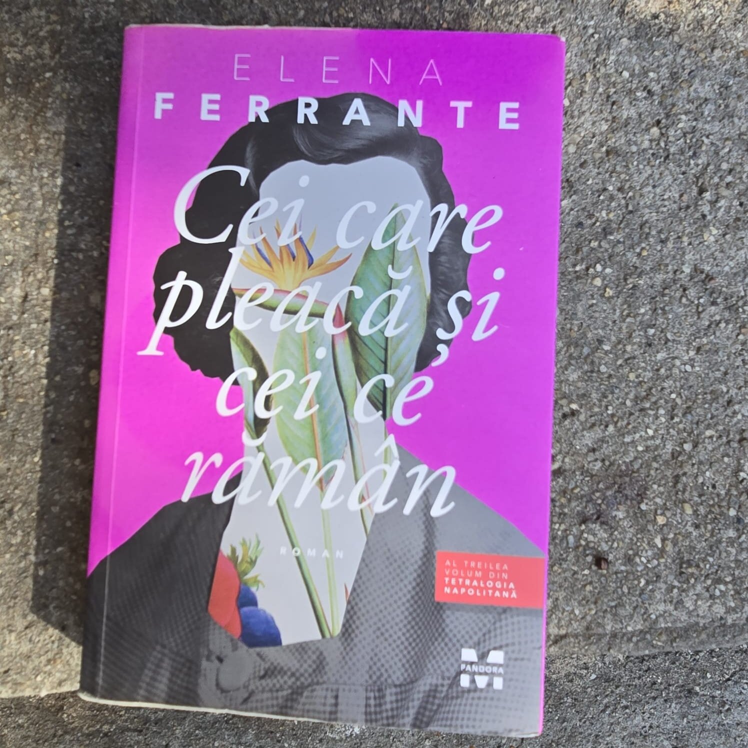 Cei care pleaca si cei care raman - Elena Ferrante