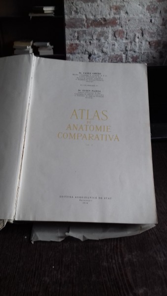 ATLAS DE ANATOMIE COMPARATIVA - VASILE GHETIE   VOL.2