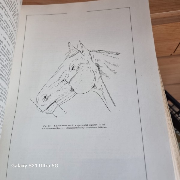 ATLAS DE ANATOMIE COMPARATIVA - VASILE GHETIE   VOL.2