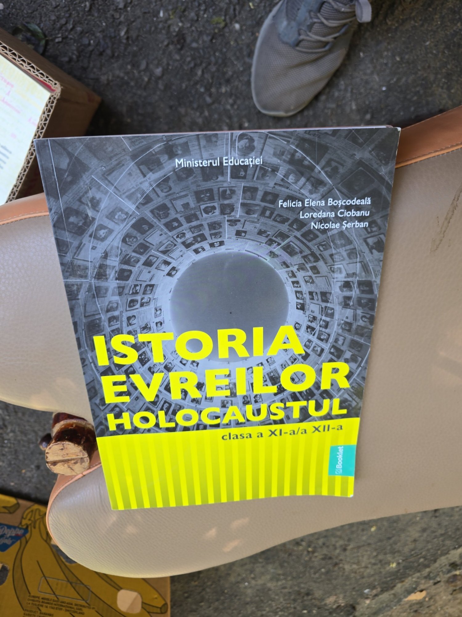 Istoria evreilor. Holocaustul - Felicia Elena Boșcodeală, Loredana Ciobanu, Nicolae Șerban