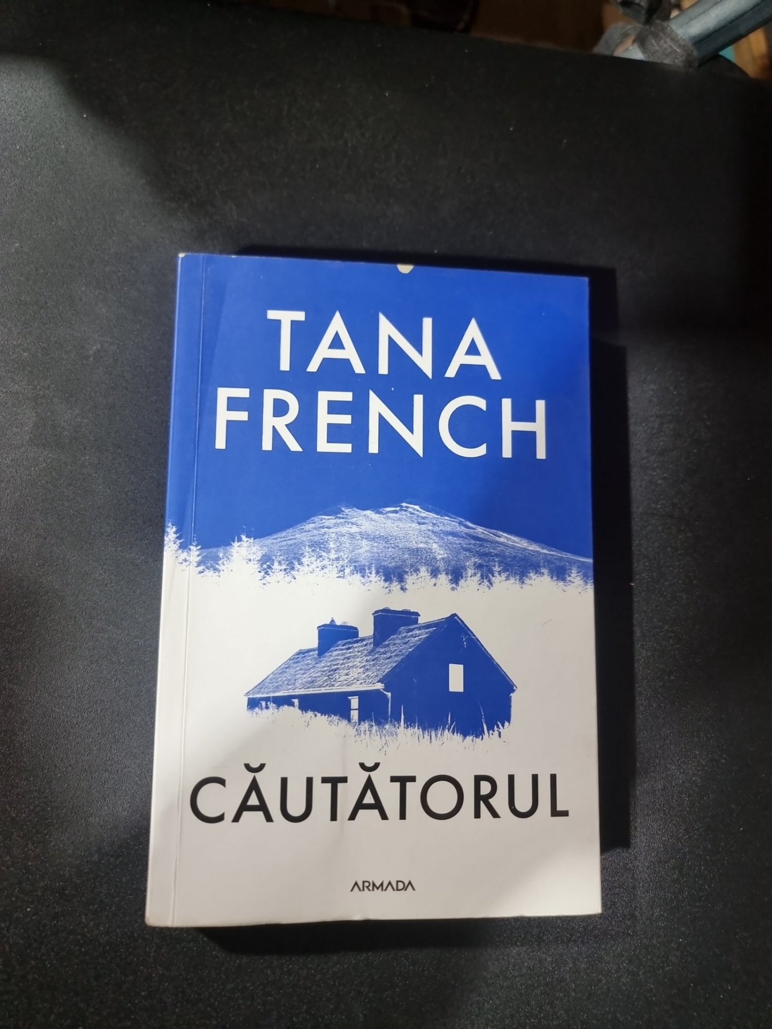 Căutătorulul - Tana French