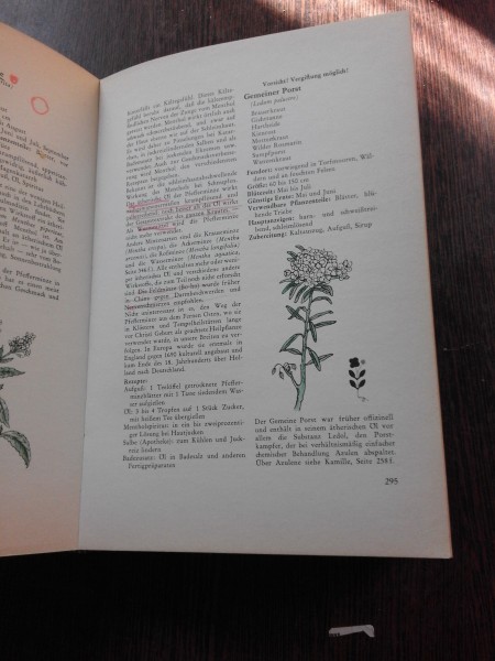 GESUND DURCH HEILKRAUTER - MARKUS GURTNER  (CARTE IN LIMBA GERMANA, FARA SUPRACOPERTA)