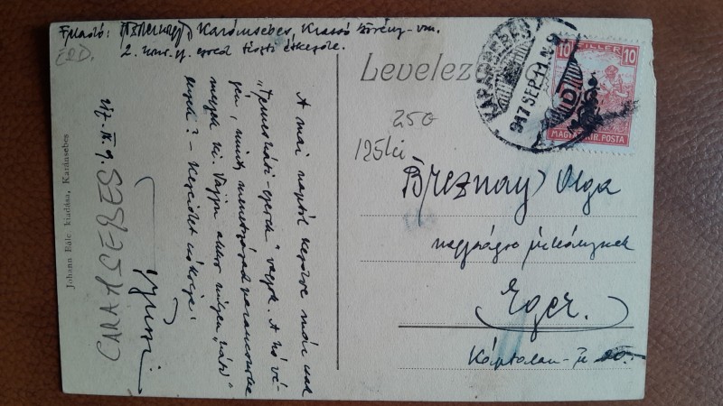 Carte postala, Caransebes, Pavilionul Ofiterilor, inceput de secol XX