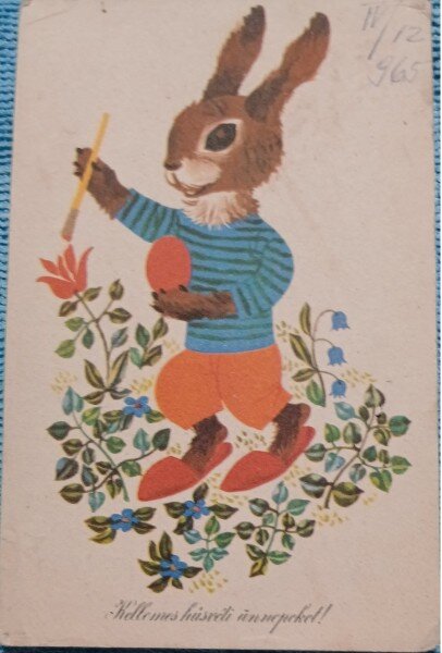 Carte postala, Felicitare cu un iepuras, germana, 1965
