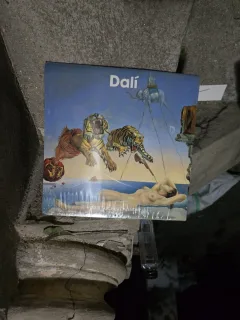 Dalí - Necunoscut