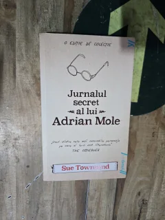 Jurnalul secret al lui Adrian Mole - Sue Townsend
