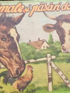 Animale si Pasari Domestice