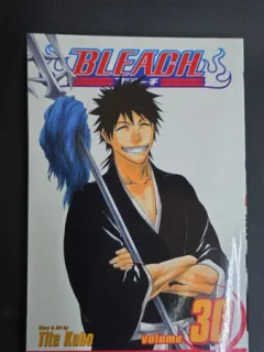 Bleach, Vol. 30 - Tite Kubo