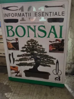 BONSAI, INFORMATII ESENTIALE - HARRY TOMLINSON